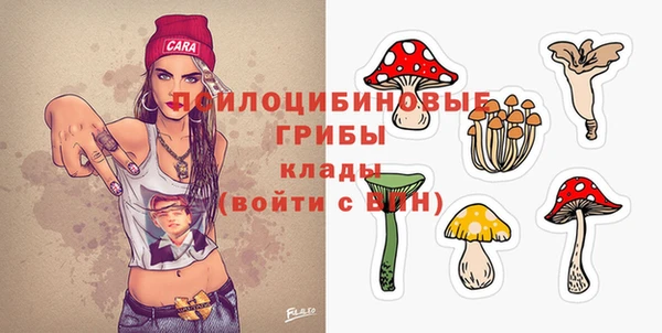 герыч Пересвет