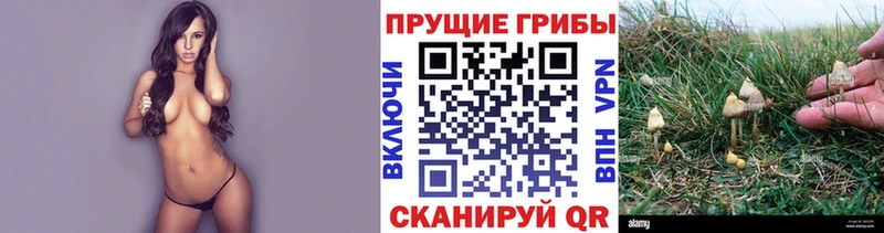 Галлюциногенные грибы мицелий  Артёмовск 