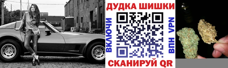 Шишки марихуана планчик  как найти наркотики  Артёмовск 
